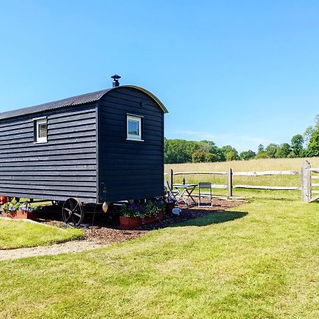 Villa Crabden Shepherd Hut - Blendworth Waterlooville Exterior foto