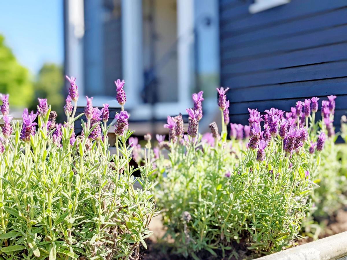 Villa Crabden Shepherd Hut - Blendworth Waterlooville Exterior foto