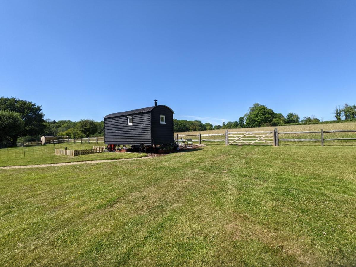Villa Crabden Shepherd Hut - Blendworth Waterlooville Exterior foto